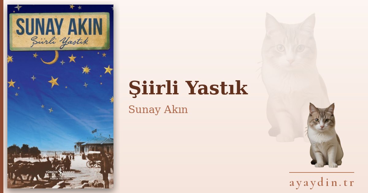 Şiirli Yastık - Sunay Akın kitap alıntıları ve sözleri