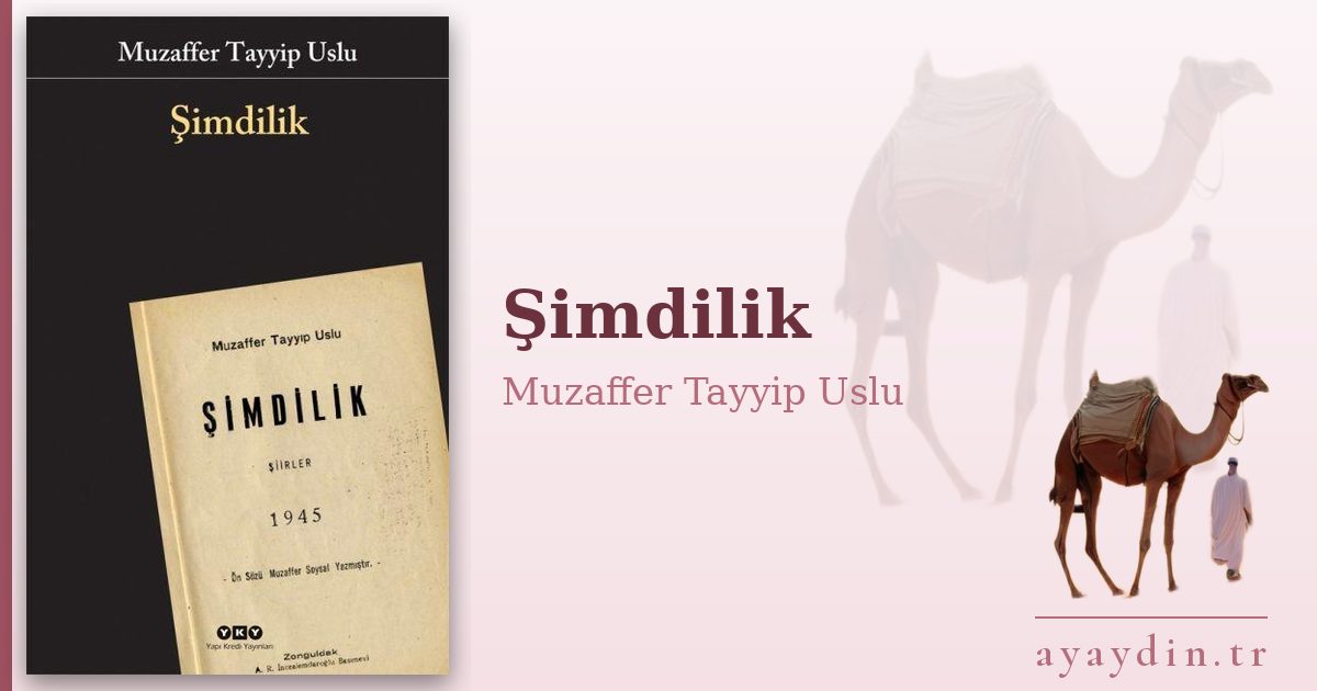 Şimdilik - Muzaffer Tayyip Uslu kitap alıntıları ve sözleri