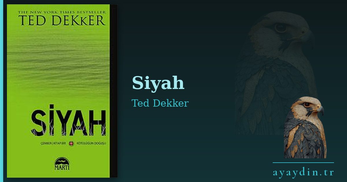 Siyah - Ted Dekker kitap alıntıları ve sözleri