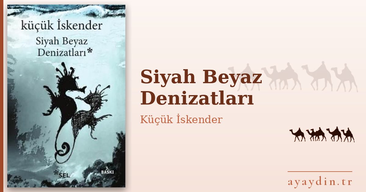 Siyah Beyaz Denizatları - Küçük İskender kitap alıntıları ve sözleri