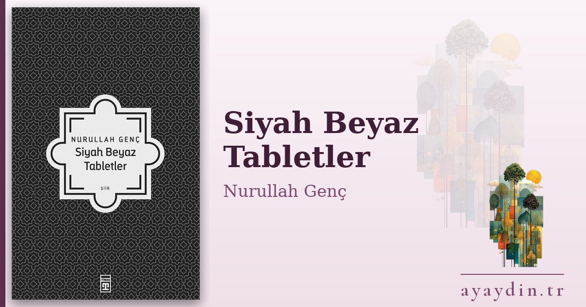 Siyah Beyaz Tabletler - Nurullah Genç kitap alıntıları ve sözleri
