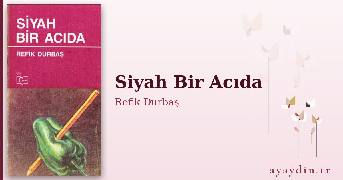 Siyah Bir Acıda - Refik Durbaş kitap alıntıları ve sözleri