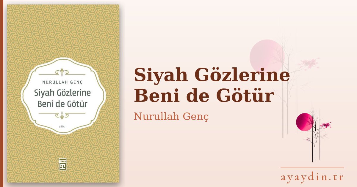 Siyah Gözlerine Beni de Götür - Nurullah Genç kitap alıntıları ve sözleri