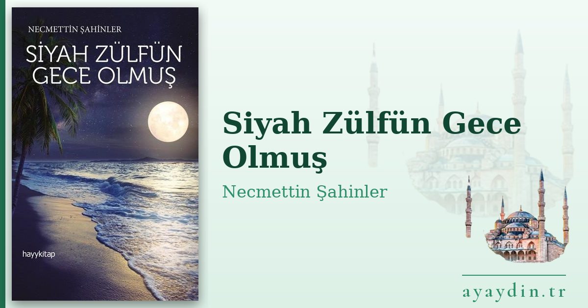Siyah Zülfün Gece Olmuş - Necmettin Şahinler kitap alıntıları ve sözleri