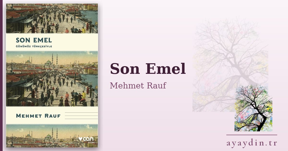 Son Emel - Mehmet Rauf kitap alıntıları ve sözleri