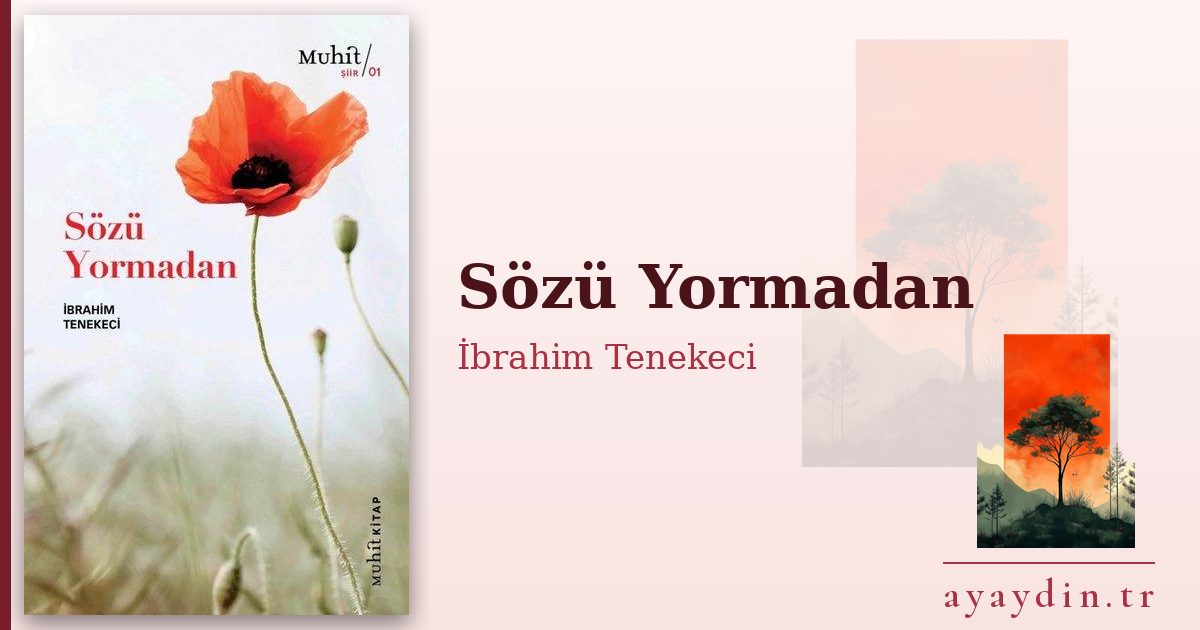 Sözü Yormadan - İbrahim Tenekeci kitap alıntıları ve sözleri