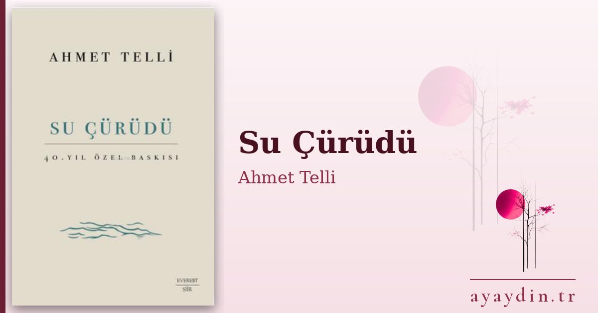 Su Çürüdü - Ahmet Telli kitap alıntıları ve sözleri