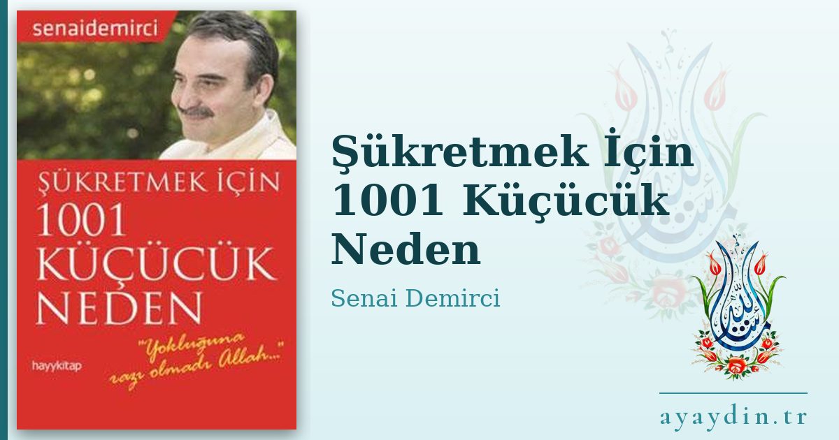Şükretmek İçin 1001 Küçücük Neden - Senai Demirci kitap alıntıları ve sözleri
