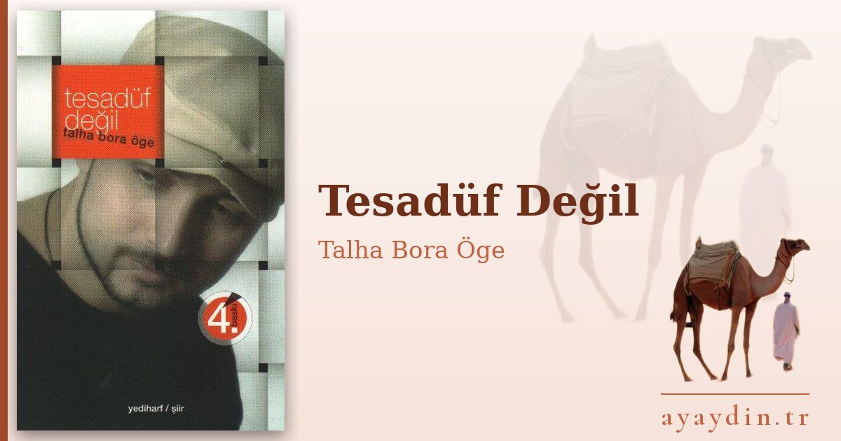 Tesadüf Değil - Talha Bora Öge kitap alıntıları ve sözleri