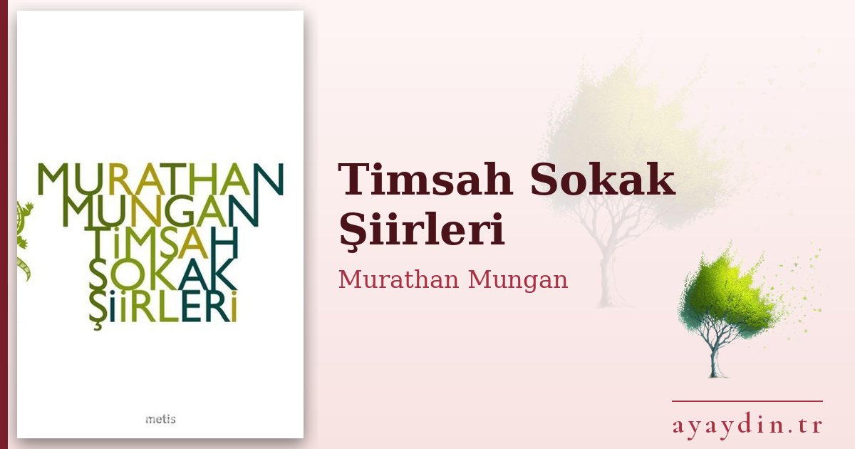 Timsah Sokak Şiirleri - Murathan Mungan kitap alıntıları ve sözleri