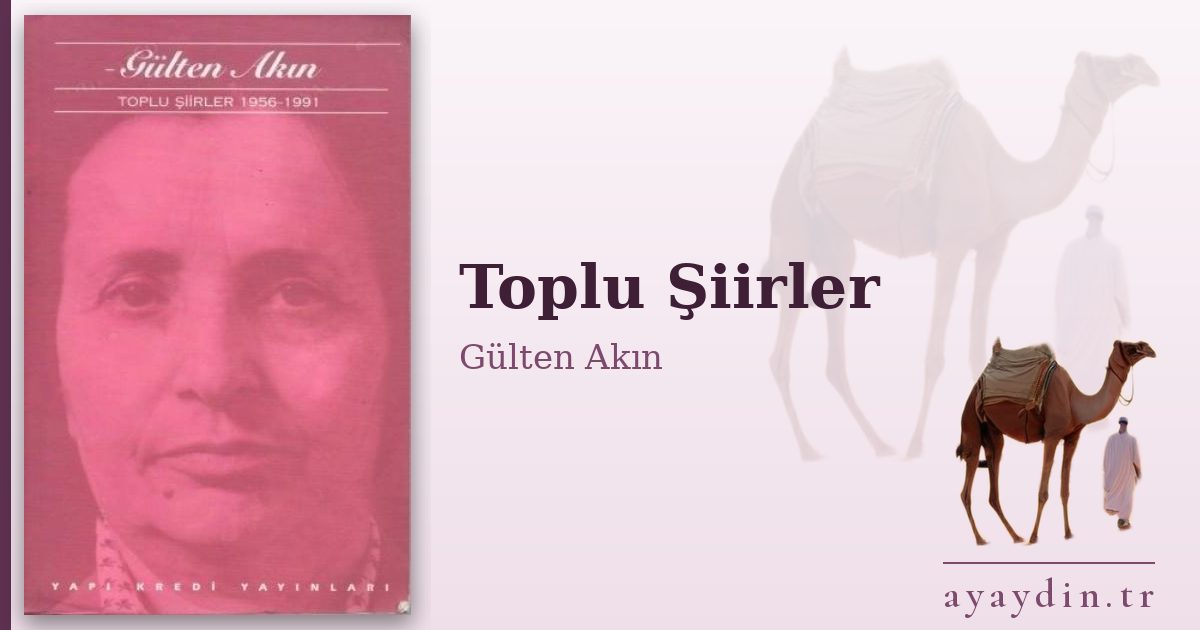 Toplu Şiirler - Gülten Akın kitap alıntıları ve sözleri