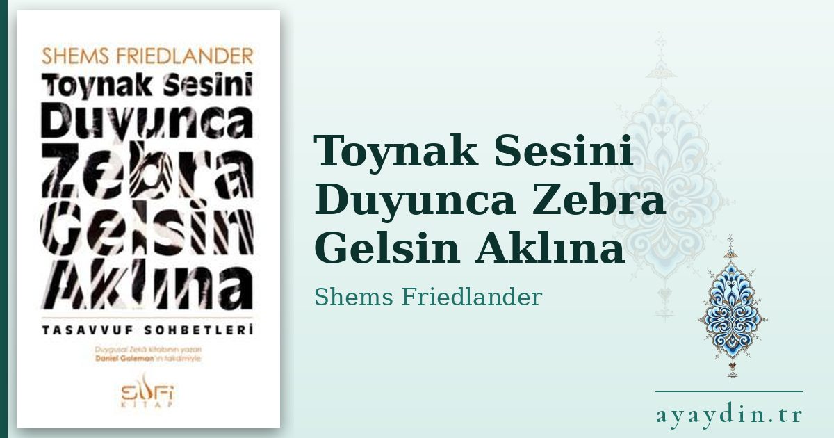 Toynak Sesini Duyunca Zebra Gelsin Aklına - Shems Friedlander kitap alıntıları ve sözleri