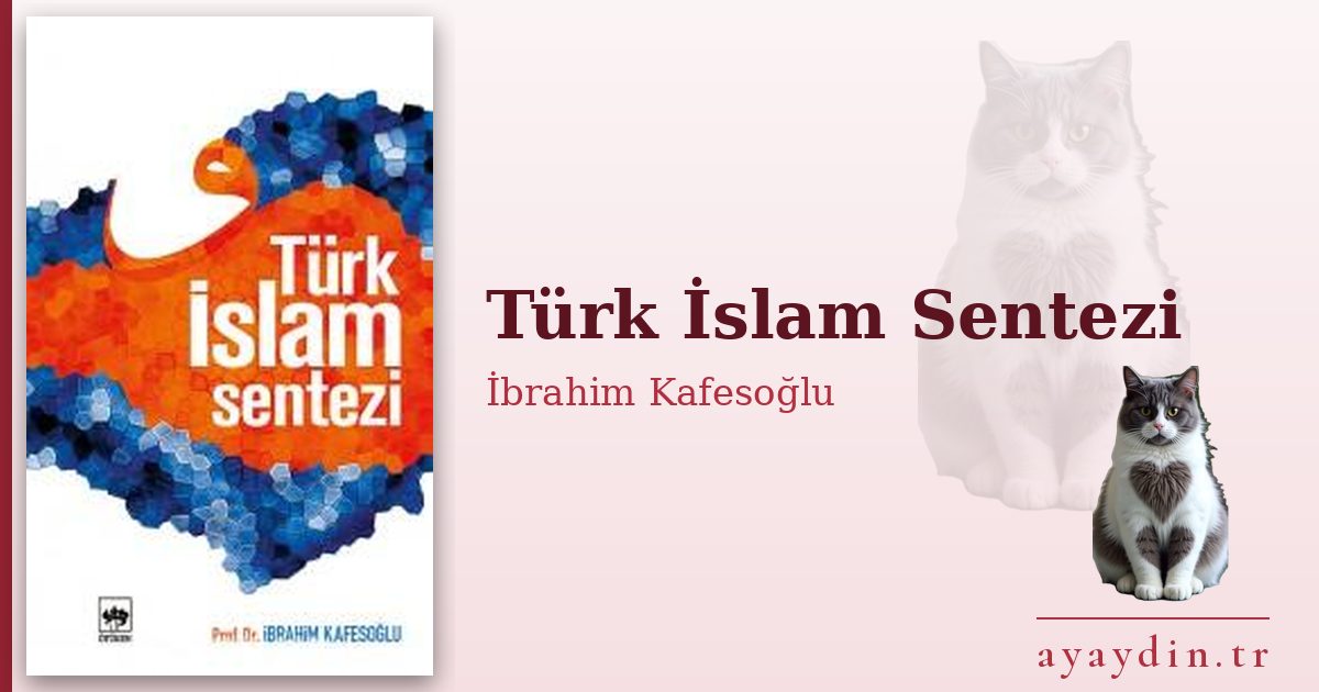 Türk İslam Sentezi - İbrahim Kafesoğlu kitap alıntıları ve sözleri