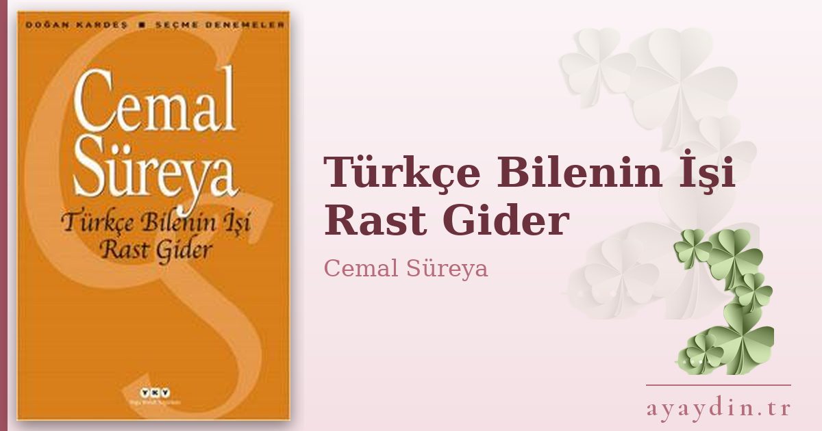 Türkçe Bilenin İşi Rast Gider - Cemal Süreya kitap alıntıları ve sözleri