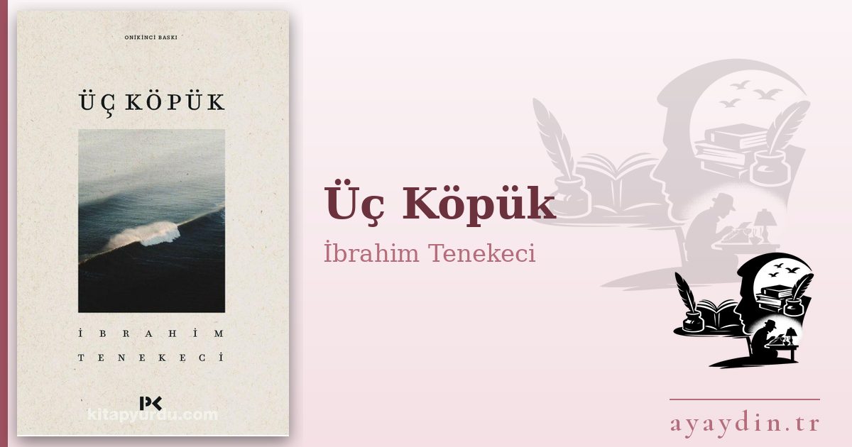 Üç Köpük - İbrahim Tenekeci kitap alıntıları ve sözleri