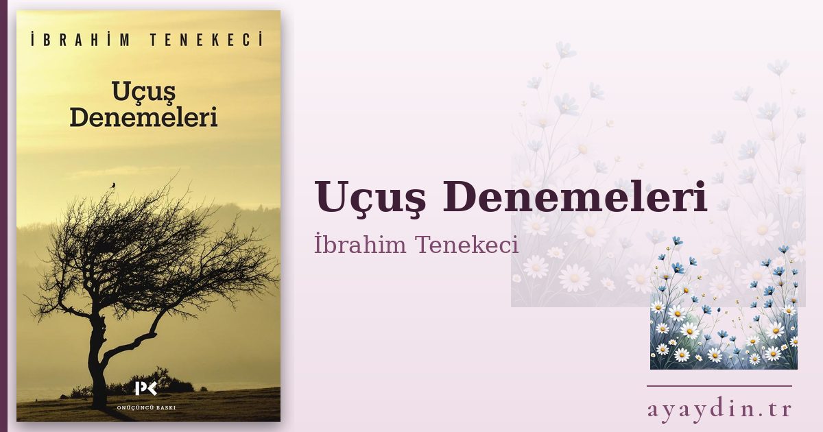 Uçuş Denemeleri - İbrahim Tenekeci kitap alıntıları ve sözleri