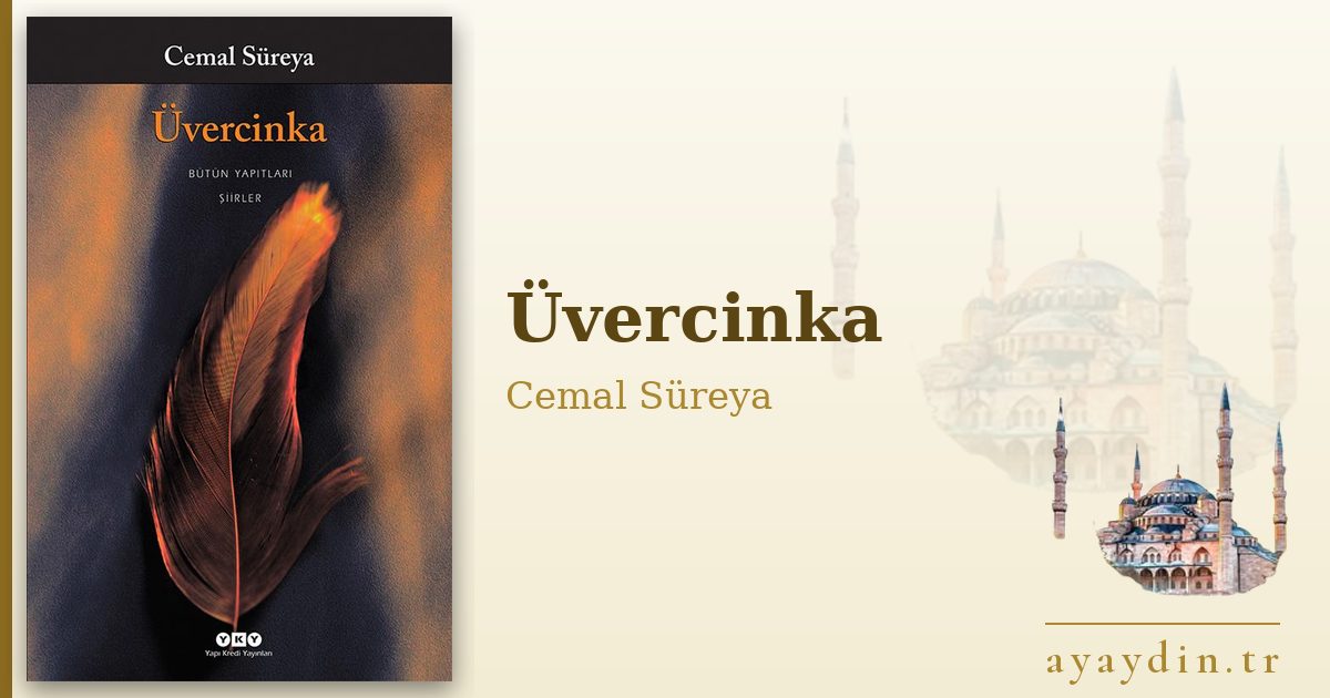 Üvercinka - Cemal Süreya kitap alıntıları ve sözleri