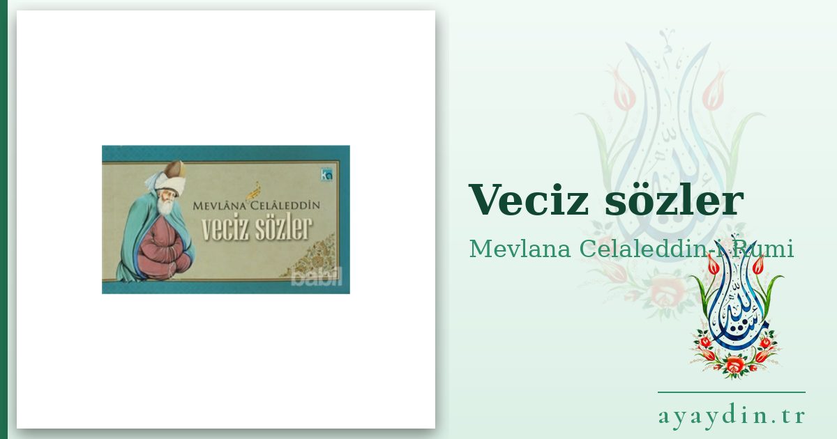 Veciz sözler - Mevlana Celaleddin-i Rumi kitap alıntıları ve sözleri