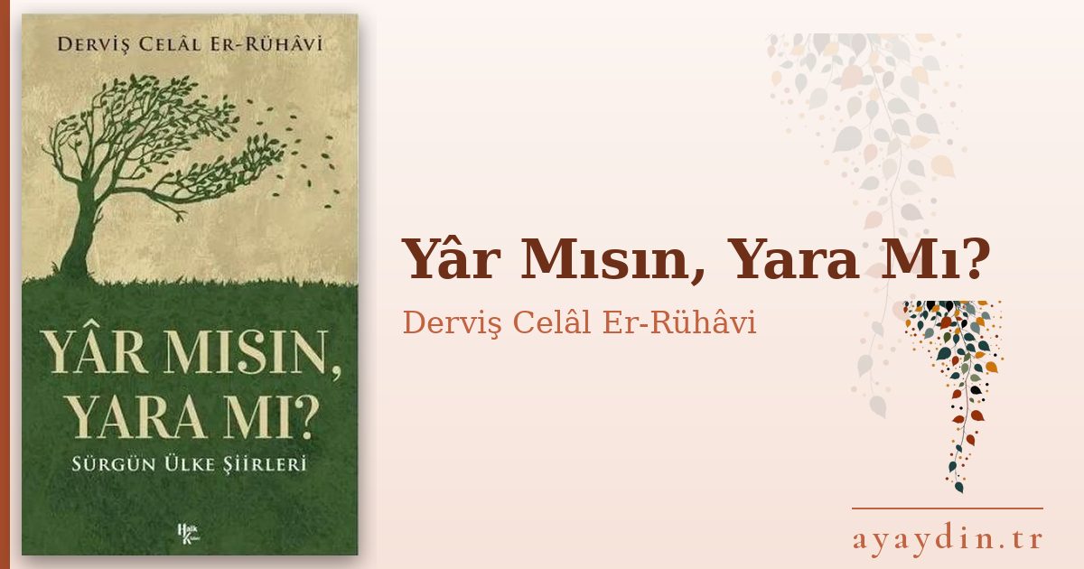 Yâr Mısın, Yara Mı? - Derviş Celâl Er-Rühâvi kitap alıntıları ve sözleri