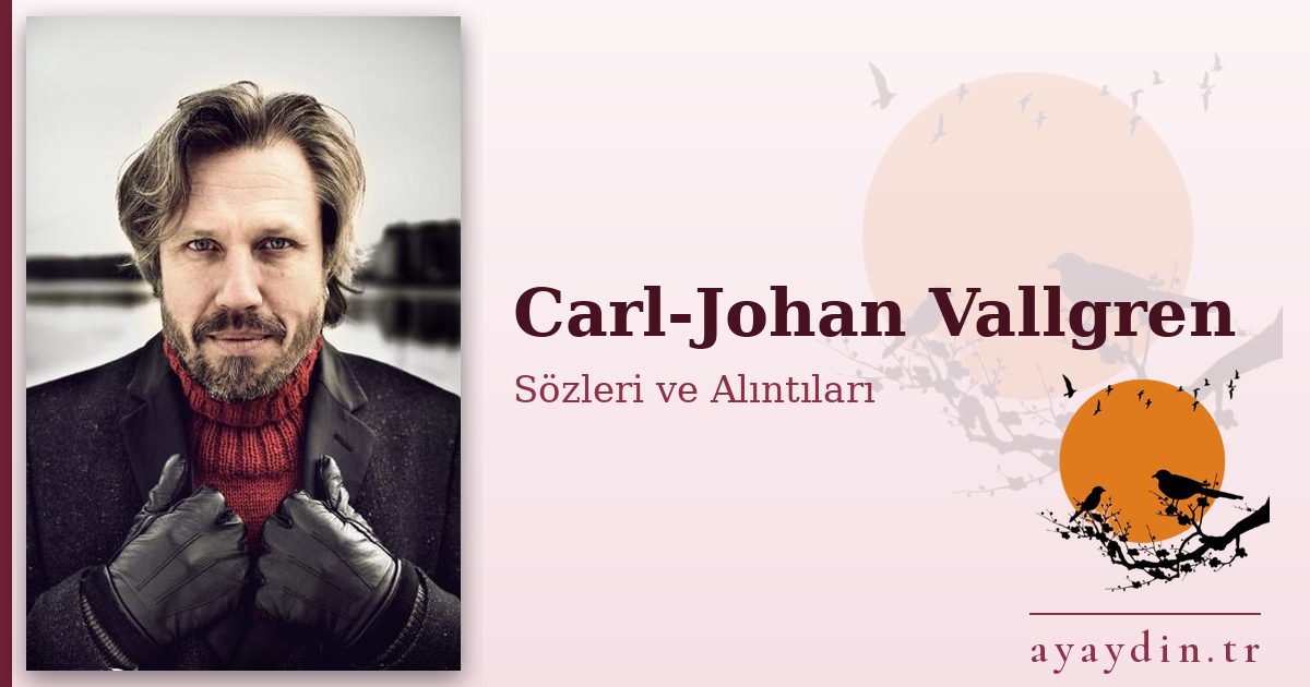 Carl-Johan Vallgren sözleri ve alıntıları