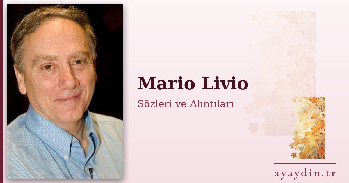 Mario Livio sözleri ve alıntıları