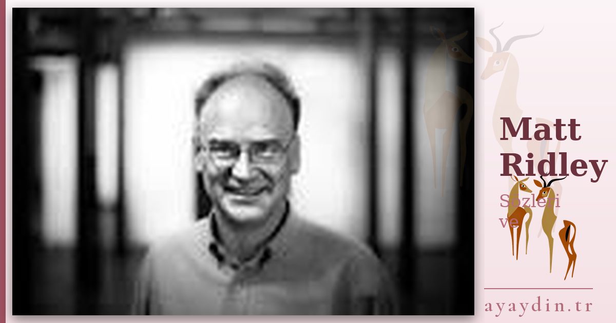 Matt Ridley sözleri ve alıntıları