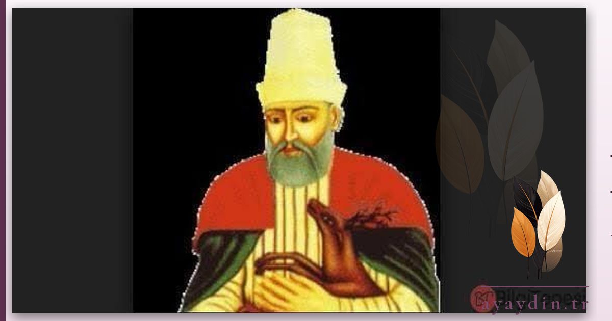 Derviş Ahmed Aşıki sözleri ve alıntıları