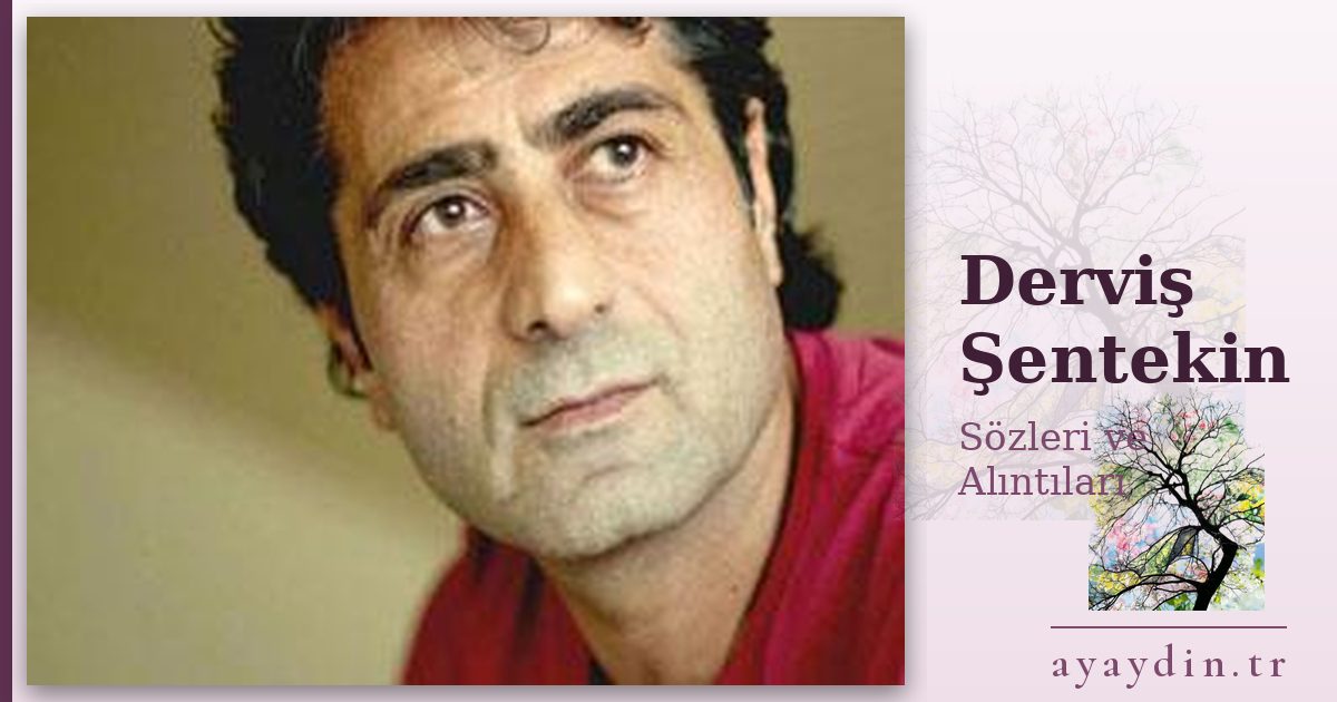 Derviş Şentekin sözleri ve alıntıları