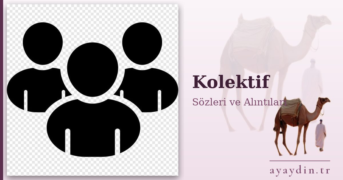 Kolektif sözleri ve alıntıları