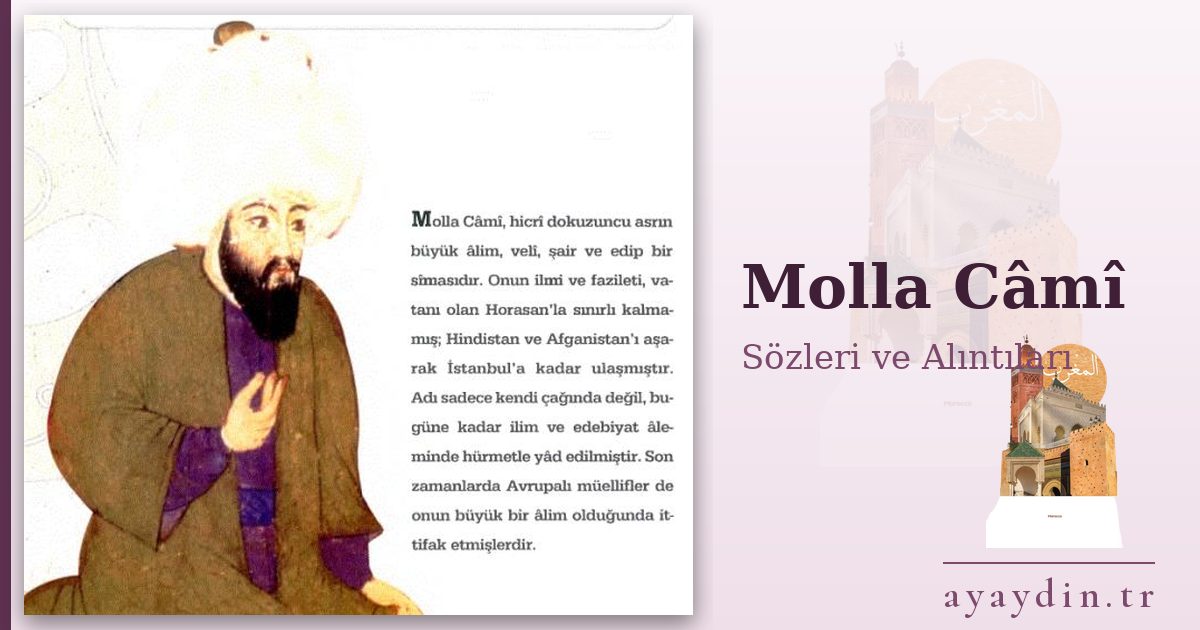 Molla Câmî sözleri ve alıntıları