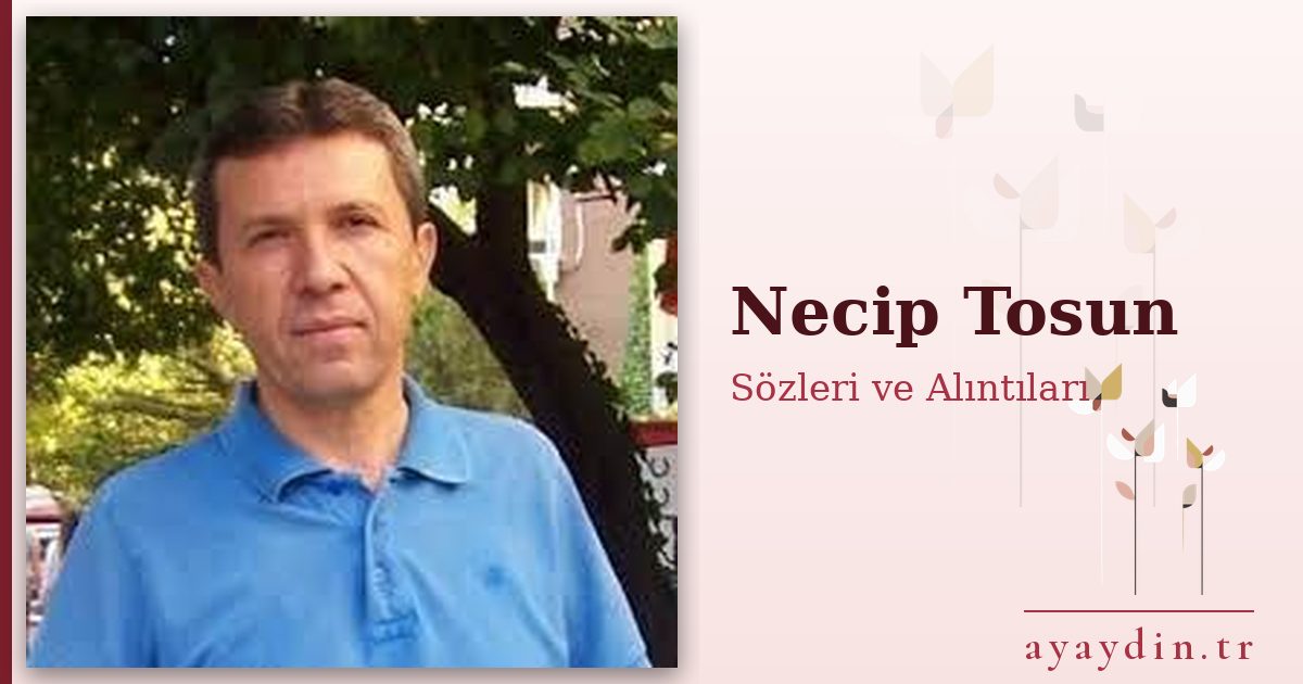 Necip Tosun sözleri ve alıntıları