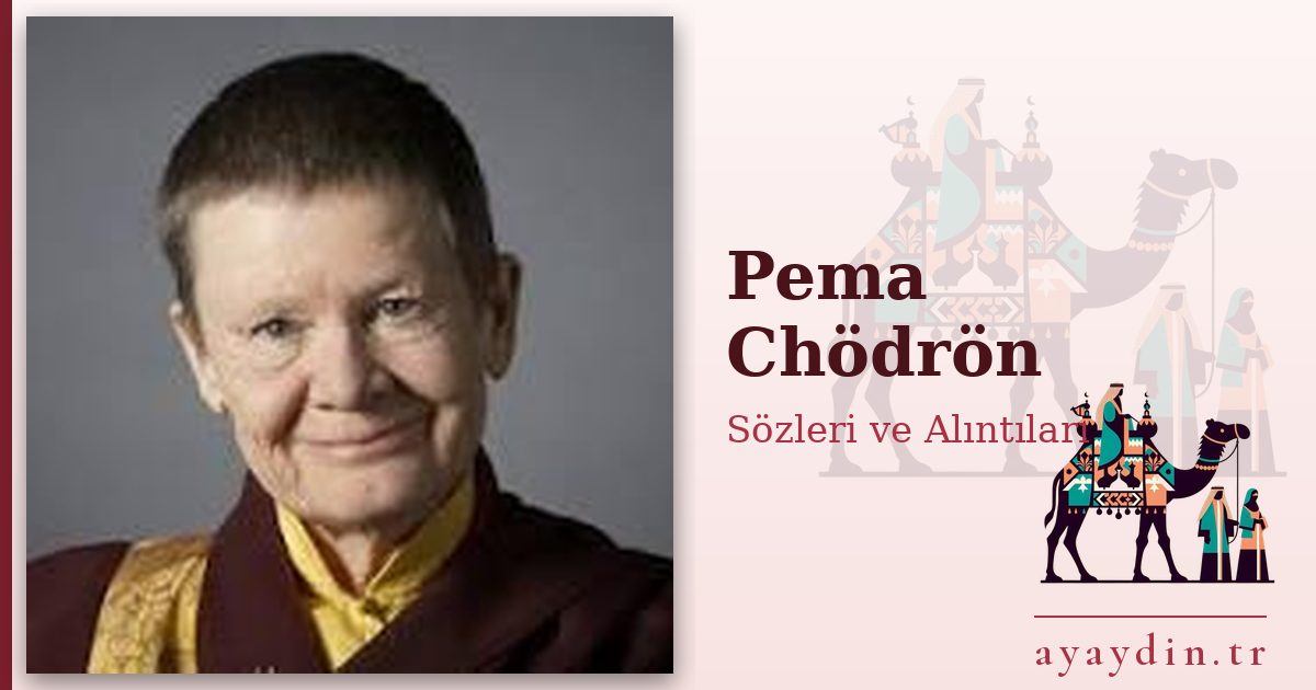 Pema Chödrön sözleri ve alıntıları