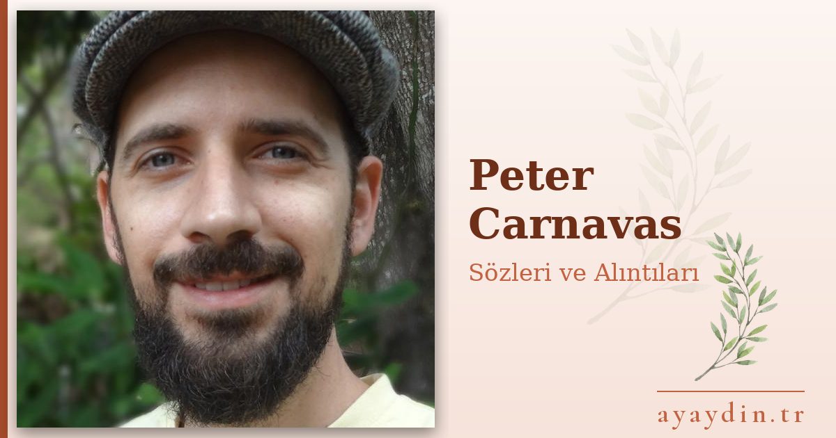 Peter Carnavas sözleri ve alıntıları