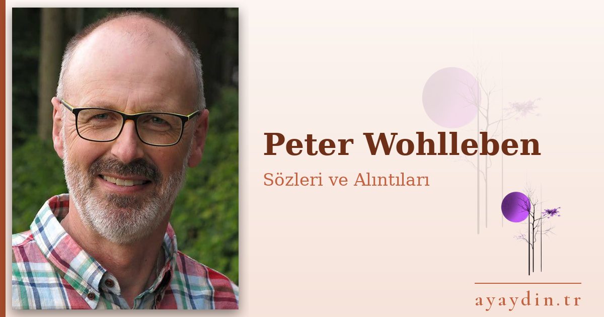 Peter Wohlleben sözleri ve alıntıları