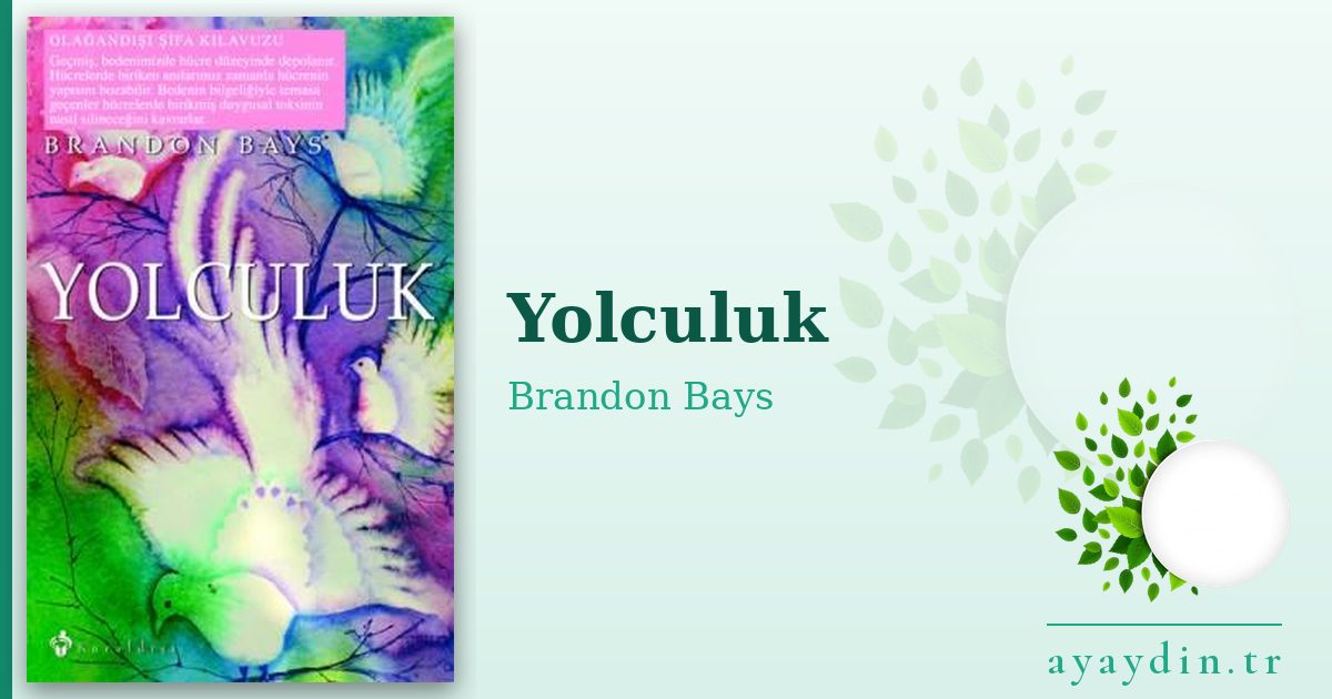 Yolculuk - Brandon Bays kitap alıntıları ve sözleri