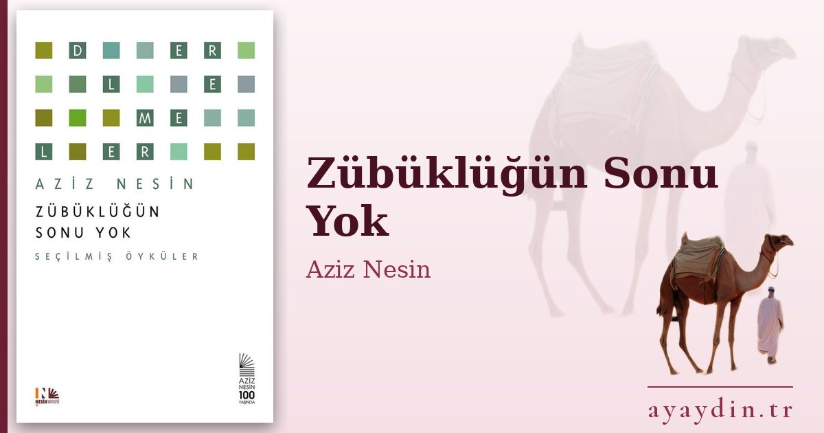 Zübüklüğün Sonu Yok - Aziz Nesin kitap alıntıları ve sözleri